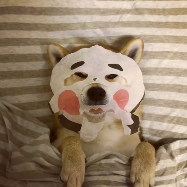 Wei Wei